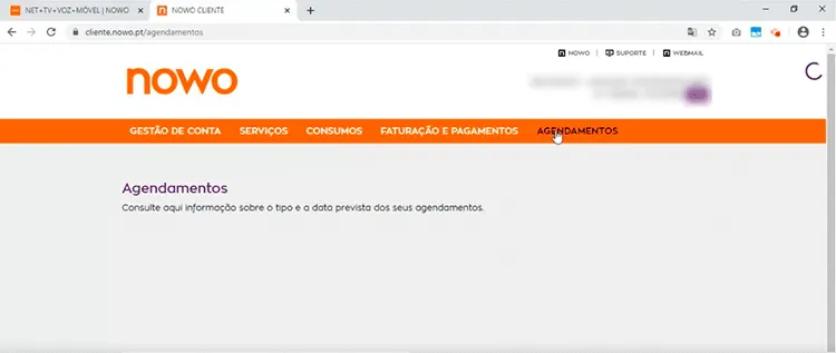 Agendamentos Área de Cliente NOWO