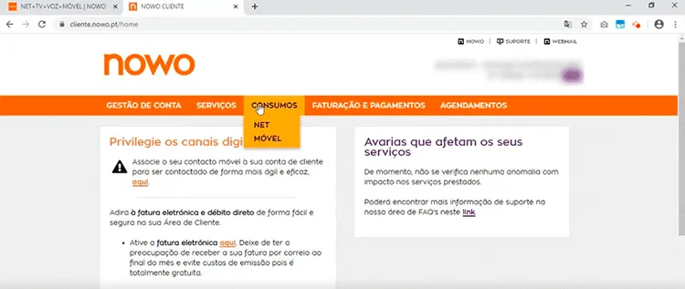 Consumos Área de Cliente NOWO